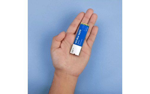 Western Digital Blue SA510 500 Go - SSD M.2 2280 SATA