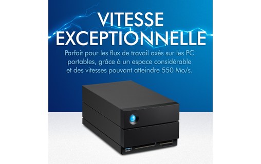 LaCie 2big Dock Thunderbolt 3 40 To - Stockage RAID 2 baies (Disques Serveurs)