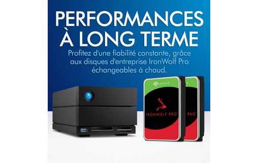 LaCie 2big Dock Thunderbolt 3 40 To - Stockage RAID 2 baies (Disques Serveurs)