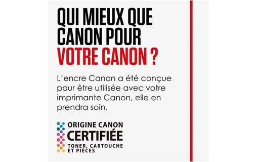 Canon Cartouche d'encre CL-541 XL grande capacitu00e9 Couleur, emballage carton