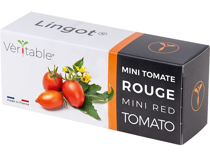 Véritable Lingot Mini Tomates Rouges pour potager d'intérieur