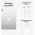 Apple iPad 10,9" - 2022 - Wi-Fi + Cellular - 256 Go - Argent