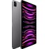 Apple iPad Pro 11" - 2022 - Wi-Fi + Cellular - 512 Go - Gris sidéral