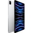 Apple iPad Pro 11" - 2022 - Wi-Fi + Cellular - 1 To - Argent