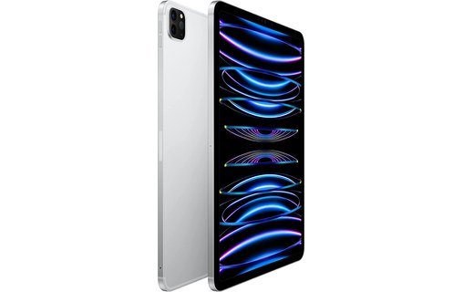 Apple iPad Pro 11" - 2022 - Wi-Fi + Cellular - 1 To - Argent