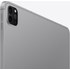 Apple iPad Pro 12,9" - 2022 - Wi-Fi + Cellular - 256 Go - Gris sidéral
