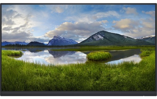 Écran 23,8" Dell P Series P2422HE - HDMI/DisplayPort/VGA