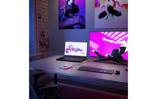 Seagate Game Drive FireCuda - Ghost-Spider edition 2 To - Disque dur externe