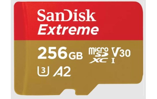 Carte microSDXC SanDisk Extreme 256 Go avec adaptateur SD, UHS-I, V30