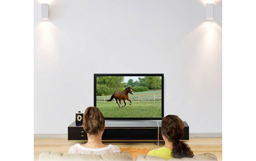 Ergotron Glide Wall Mount, HD 152,4 cm (60") Noir