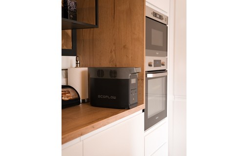 Station électrique portable EcoFlow DELTA 2 - 1024Wh / 4x 230V 1800W / USB