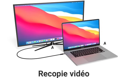 Câble USB-C vers DisplayPort 1.2 - EZQuest DuraGuard - 2,2 m