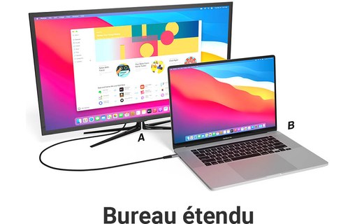 Câble USB-C vers DisplayPort 1.2 - EZQuest DuraGuard - 2,2 m