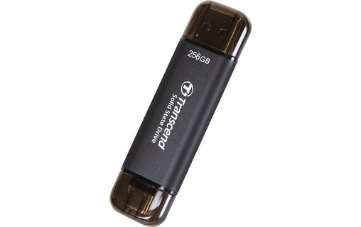 Disque SSD externe portable USB-C & USB-A 256 Go - Transcend ESD310C Noir -  Disque dur externe - Transcend