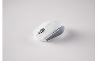 Souris sans fil Razer Pro Click Mini - Blanche