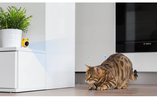 Petoneer Smart Pet Cam - Caméra intelligente Wi-Fi pour animaux de compagnie