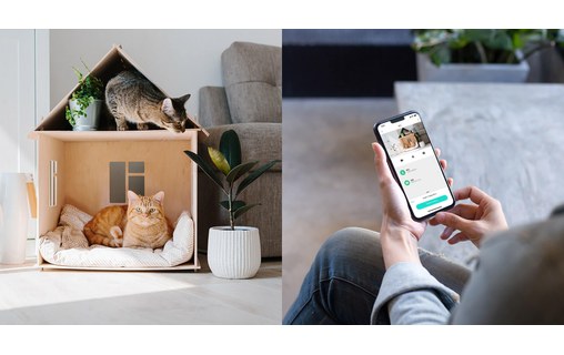 Petoneer Smart Pet Cam - Caméra intelligente Wi-Fi pour animaux de compagnie