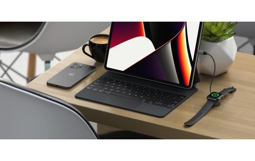 Câble de charge USB-C magnétique pour Apple Watch 17 cm - Satechi