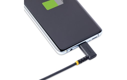 StarTech.com Câble USB-C vers Lightning de 2m - Cordon de Charge/Syncronisation