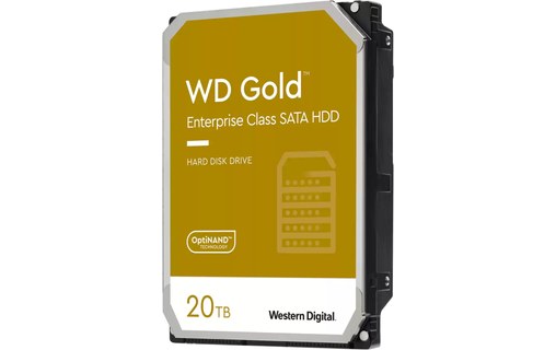Western Digital WD Gold 20 To - Disque dur 7200 tr/min - WD202KRYZ