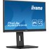 Écran 21,5" iiyama ProLite XUB2293HS-B3