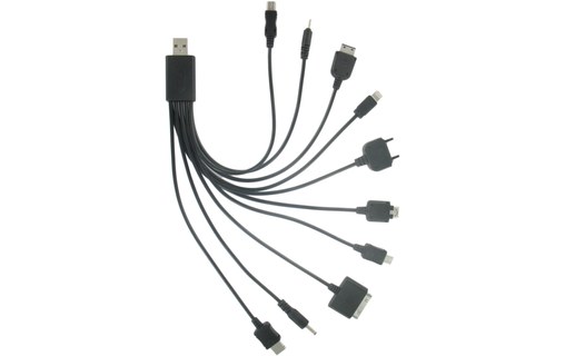 DLH DY-TU1975B câble de téléphone portable Noir USB A