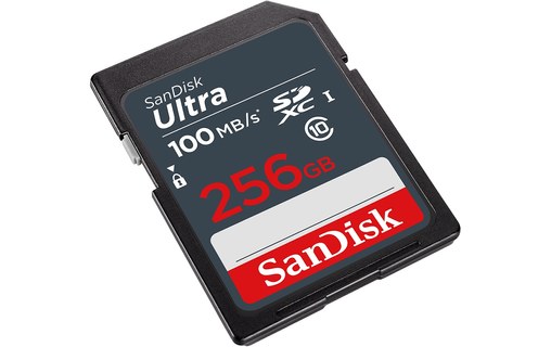 Carte SDXC SanDisk Ultra Lite 256 Go, UHS-I