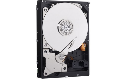 Western Digital Blue 1 To - Disque dur 7200 tr/min - WD10EZEX