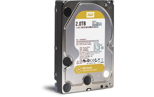 Western Digital WD Gold 2 To - Disque dur 7200 tr/min - WD2005FBYZ