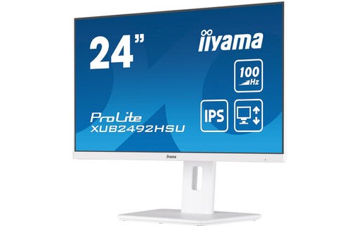 Écran 23,8" iiyama ProLite XUB2492HSU-W6