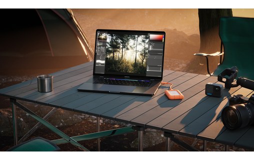 LaCie Rugged Mini SSD 1 To USB-C - Disque SSD externe