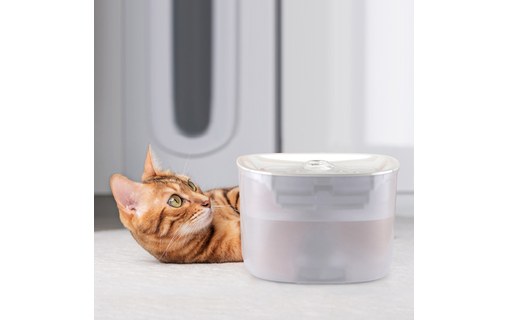 Petoneer Fresco EzGo - Fontaine à eau connectée pour chats et chiens