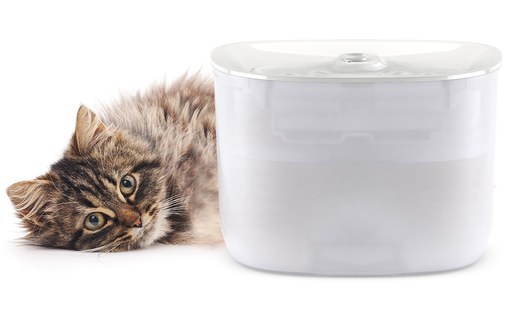 Petoneer Fresco EzGo - Fontaine à eau connectée pour chats et chiens