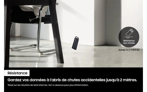 Samsung SSD externe T5 EVO 4 To - USB-C - Noir