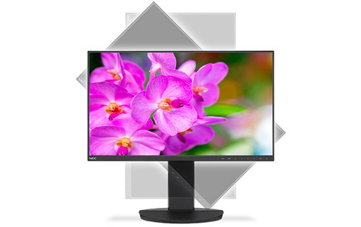Écran 24" NEC MultiSync EA241F-BK