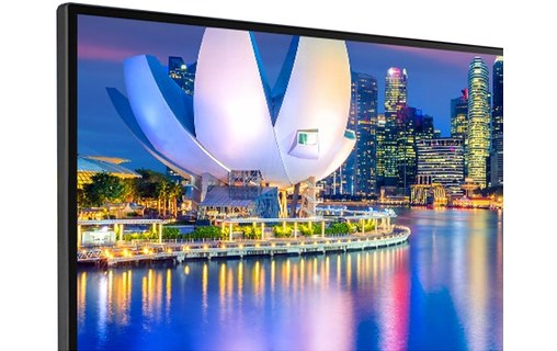 Écran 29" LG UltraWide 29WP500-B