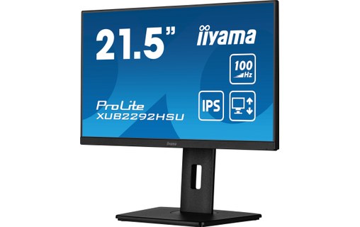 Écran 22" iiyama ProLite XUB2292HSU-B6