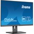 Écran 25" iiyama ProLite XUB2595WSU-B5
