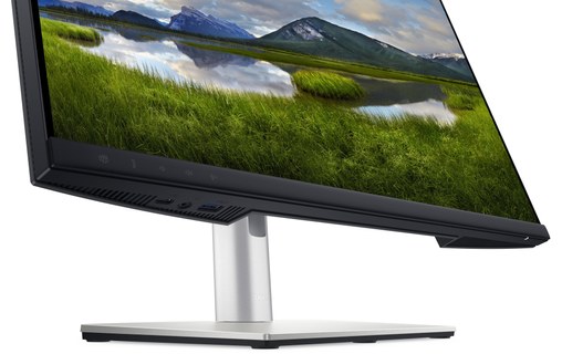 Écran Dell P2424HEB