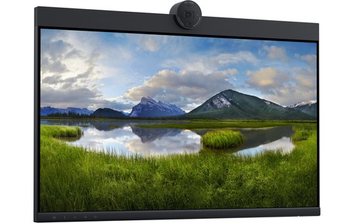 Écran Dell P2424HEB