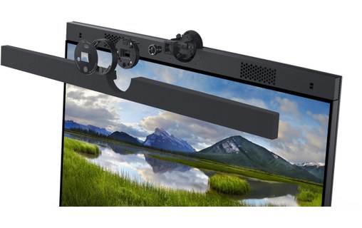 Écran Dell P2424HEB