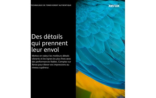 Xerox Toner Cyan 106R02756