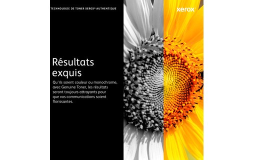 Toner jaune Xerox 106R03692 Extra haute capacité