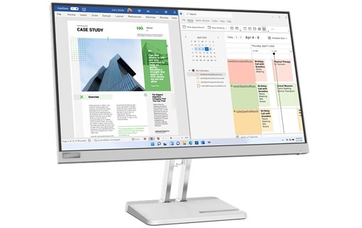 Écran 24,5" Lenovo L25e-40 - HDMI/VGA