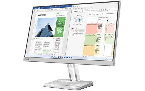 Écran 24,5" Lenovo L25e-40 - HDMI/VGA