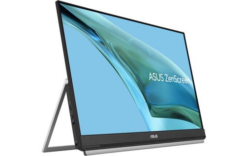 Écran 23,8" ASUS ZenScreen 90LM0865-B01170 - HDMI/USB-C