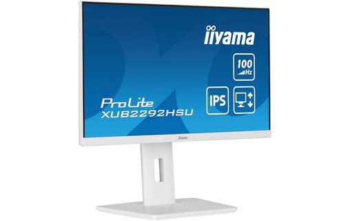 Écran 21,5" iiyama ProLite XUB2292HSU-W6