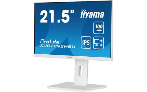 Écran 21,5" iiyama ProLite XUB2292HSU-W6