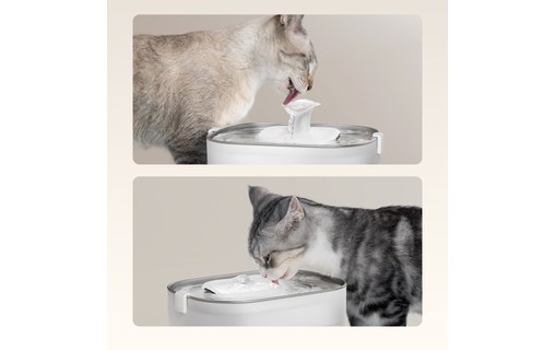 Fontaine à eau pour chats - Petlibro Dockstream - Blanc