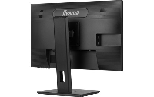 Écran 24" iiyama ProLite XUB2463HSU-B1